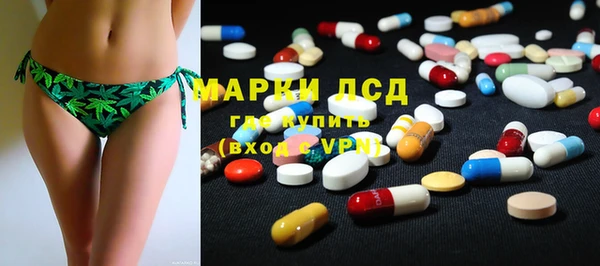 спайс Алзамай