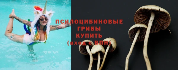 спайс Алзамай